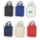 Non-woven Shopping Bag Vertical