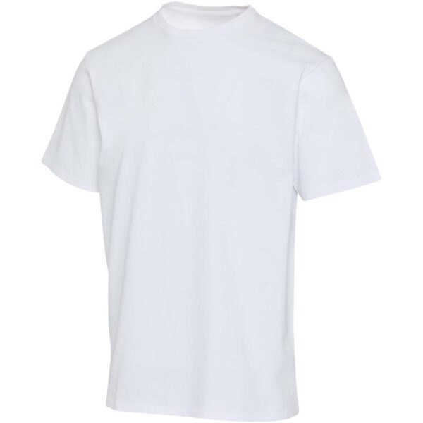 Elevate Lucas 260 g/m2 unisex OCS organic oversized t-shirt