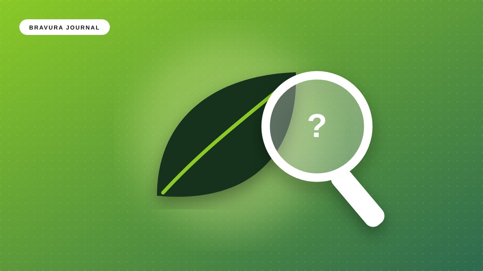 Illustration: Greenwash or genuine? Six questions to ask before you buy "eco" merchandise